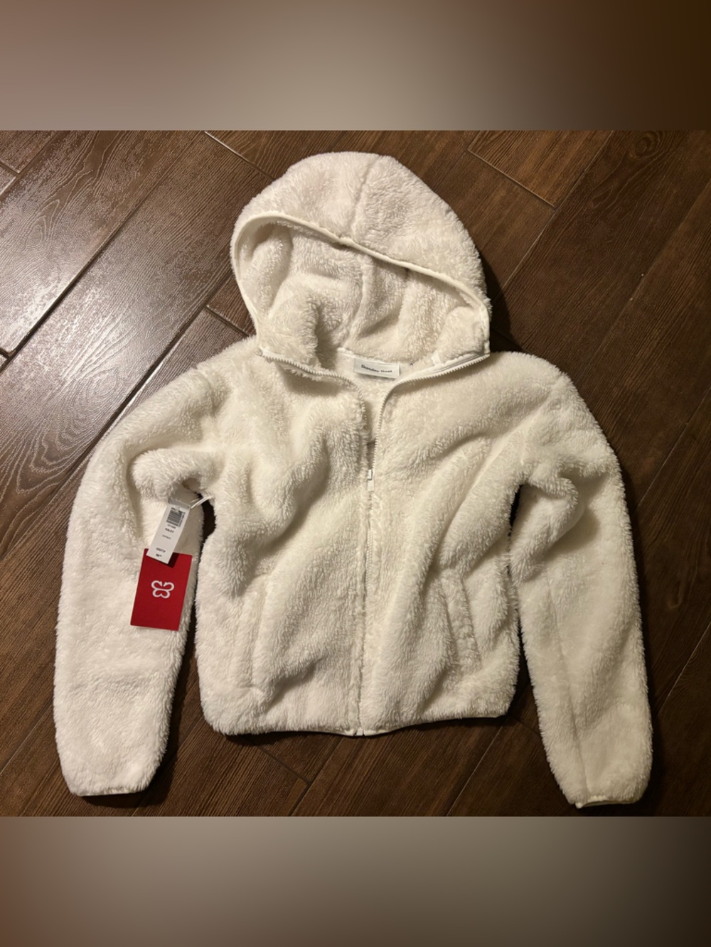 Aritzia Sunday Best Kaley Hoodie